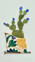 Potted Prickly Pear
