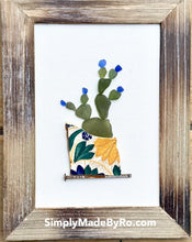 Potted Prickly Pear