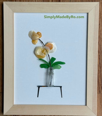 Shell Orchids