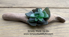 Sea glass succulent in driftwood