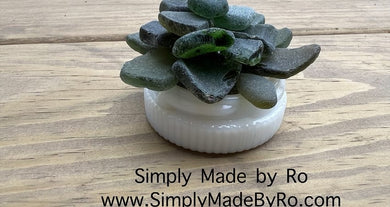 sea glass succulent decor (small)