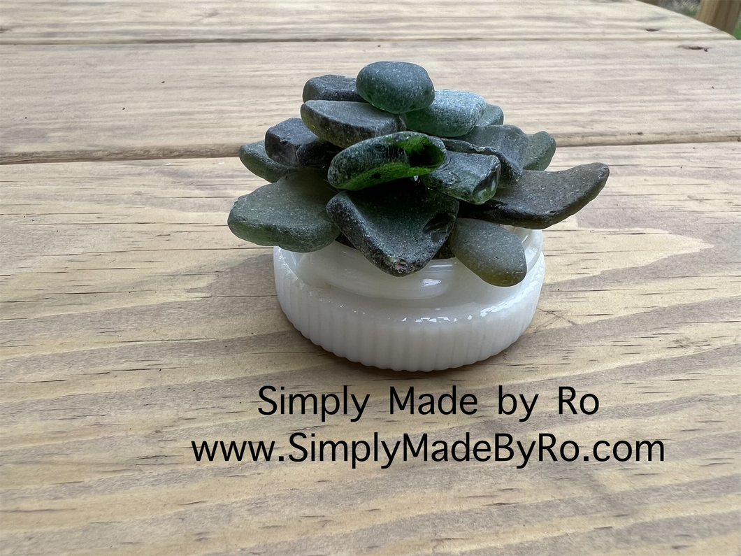 sea glass succulent sea glass succulent decor (small) – Simply Made By Ro